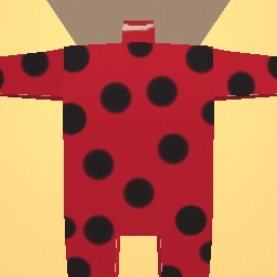 ladybug clothes