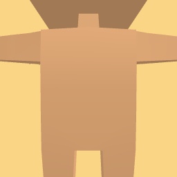new costume copy