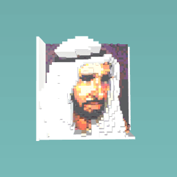 ﺪﻳاز ﺦﻴﺸﻟا