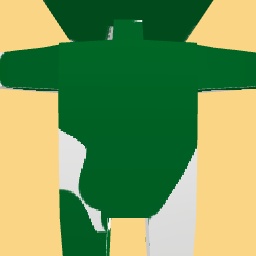 new costume