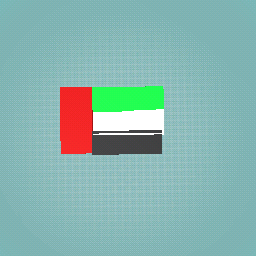 UAE FLAG