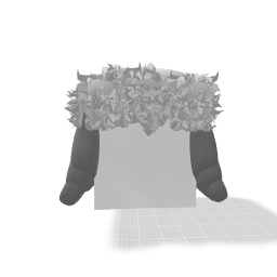 Ushanka