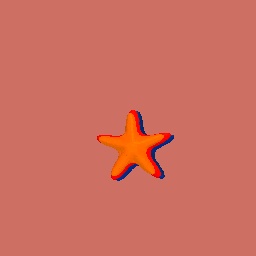 Star fish☆☆☆☆☆☆☆☆☆☆