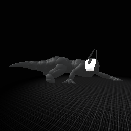 Wonderer of the void