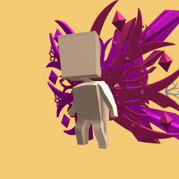 wings11