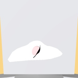 Nose