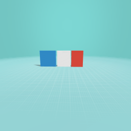 French flag