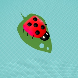 Ladybug