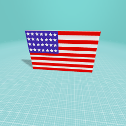 U.S.A Flag