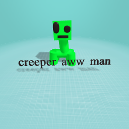 CREEPER AWWWWWWW MAN