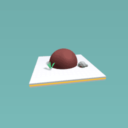 ﻂﻴﺴﺑ ﺖﻴﺑ