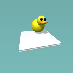 duck