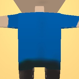 T shirt with hair