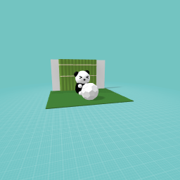 Soccer panda