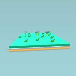 The grassy field with only for flowers