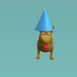 Dog with hat