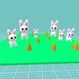 Rabbit Field