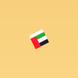 UAE FLAG