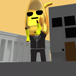 Do you have rags or riches or banana