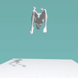 backflip