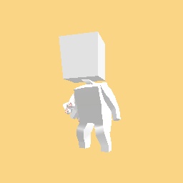 Cute cat