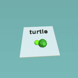 turtle