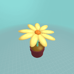 Sun-Soaking Flower