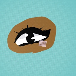 Eye