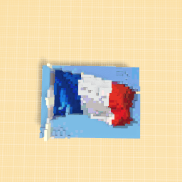 France flag