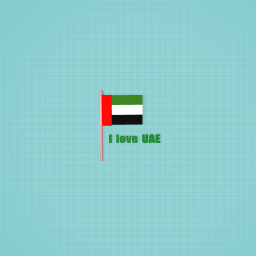 The UAE