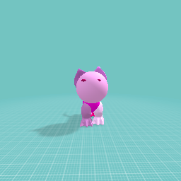 Pinky the cat
