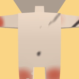 new costume copy