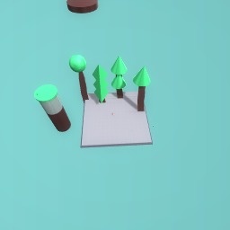 My for trees in the forest