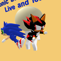 Sonic and shadow