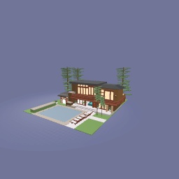 Modern house