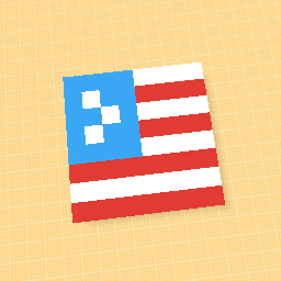 usa flag