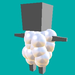 Wool (back item)