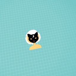 Black widow cat