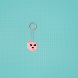 Key  chain