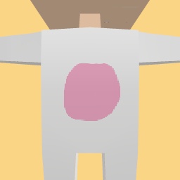 Bunny outfit