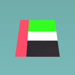 UAE FLAG