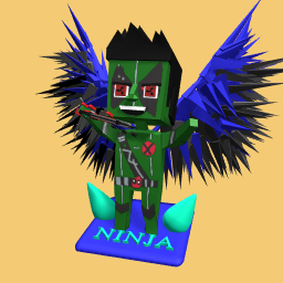 NINJA