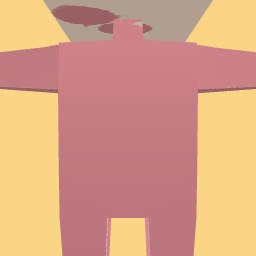 new costume