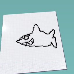 Shark