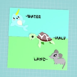 Water/half/land animals
