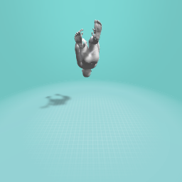 Backflip