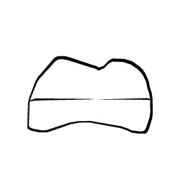 Mouth