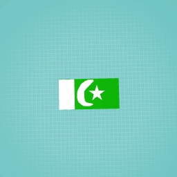 Pakistan flag
