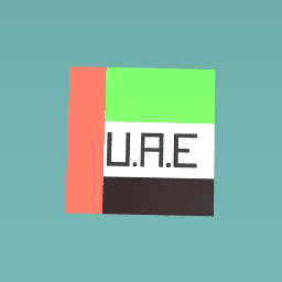 UAE FLAG !!