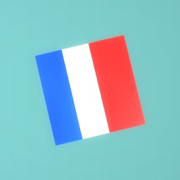 Flag for france